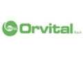 Orvital