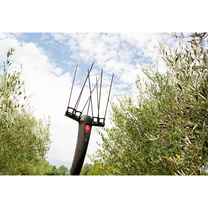 Abbacchiatore Scuotiolive Julia a Batteria 12V con asta Fissa Ausonia