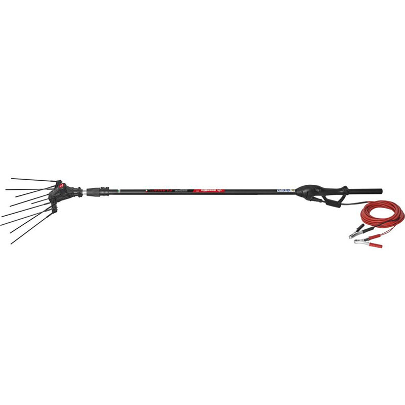 Abbacchiatore Scuotiolive Flavia a Batteria 12V con asta Telescopica Ausonia