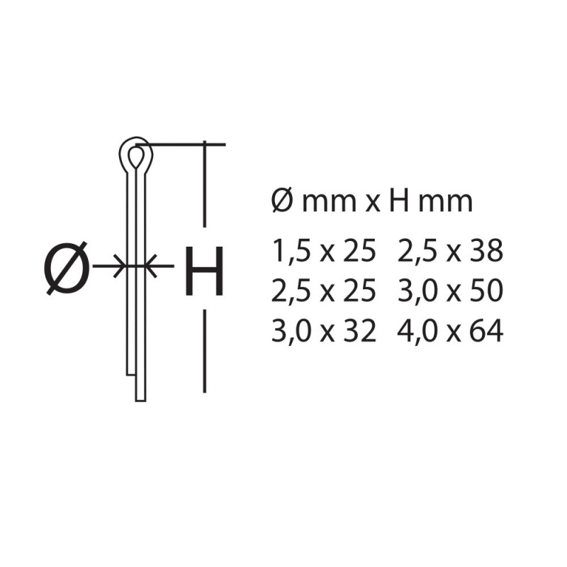 Assortimento copiglie da 555 pz Ribimex