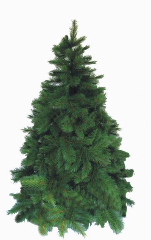 Albero di natale classico optima cm 180 cm 352 rami Mondo Verde