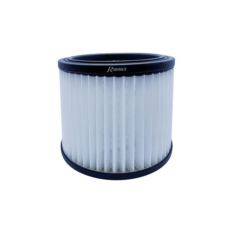 Filtro HEPA per Bidoni Aspiratutto Ribimex