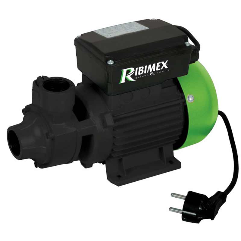 Pompa travaso gasolio Ribimex PRPC115