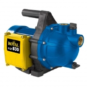 Pompa autoadescante Einhell Elettropompa 800 watt rgp 830