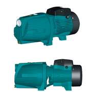 Pompa autoadescante 1.5 Hp AJm110H Leo