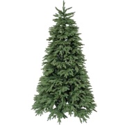 Albero di natale Kennedy 180-270 cm